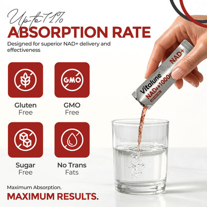 Vitalune Liquid NAD+