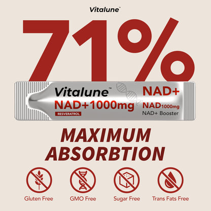 Vitalune Liquid NAD+