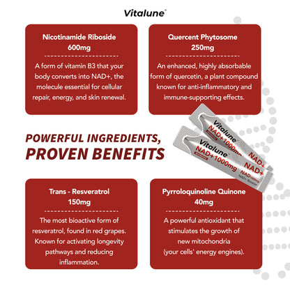 Vitalune Liquid NAD+